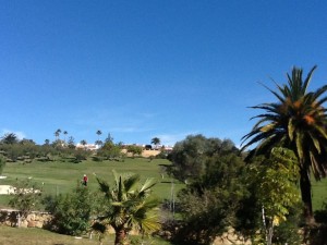 Sunny weather in Manilva in January