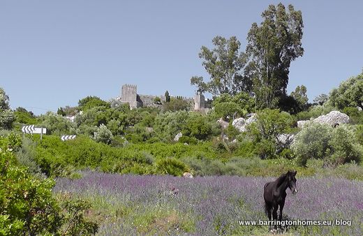 Castillo_de_Castellar_from_meadow