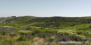 Beautiful spring day in Manilva