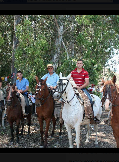 Manilva Romeria horses