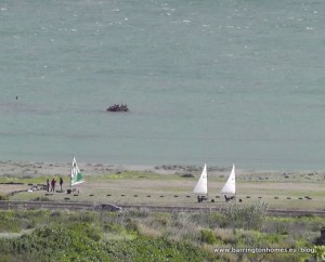 wind karting on Manilva beach